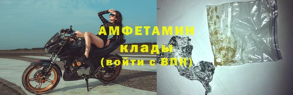 ГАЛЛЮЦИНОГЕННЫЕ ГРИБЫ Алзамай
