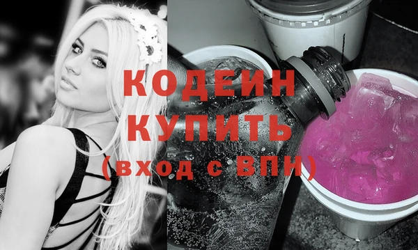 индика Абаза