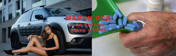ГАЛЛЮЦИНОГЕННЫЕ ГРИБЫ Алзамай