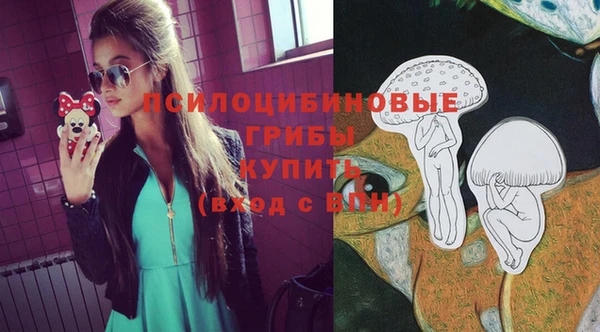 МДПВ Алексеевка