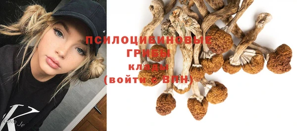 ГАЛЛЮЦИНОГЕННЫЕ ГРИБЫ Алзамай