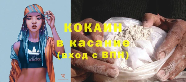 индика Абаза
