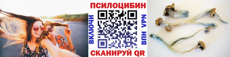 OMG ССЫЛКА  Красноармейск  дарк нет состав  Псилоцибиновые грибы GOLDEN TEACHER 